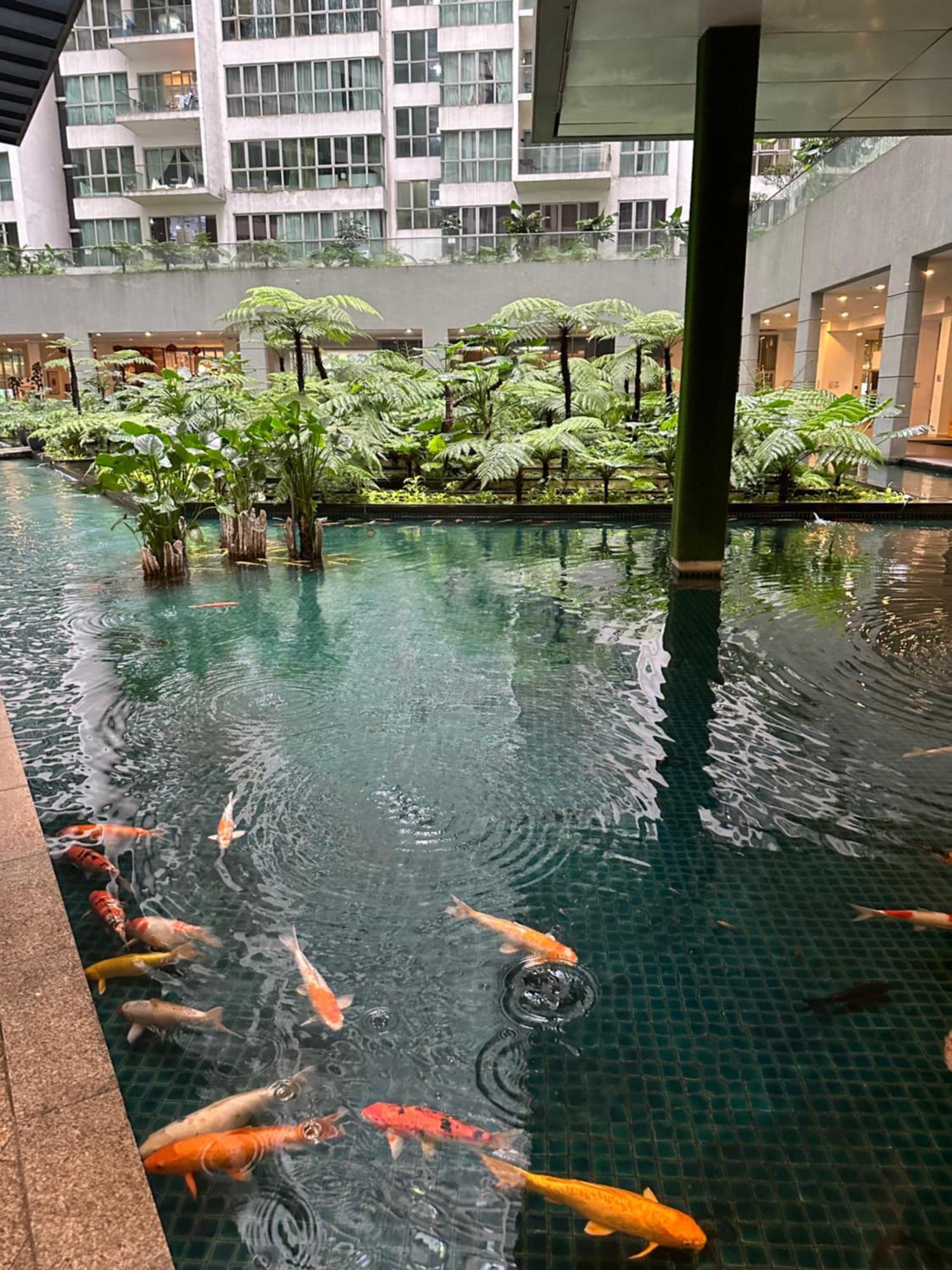 Modern Bauhaus Studio At Regalia Klcc Infinity Pool Куала-Лумпур Экстерьер фото